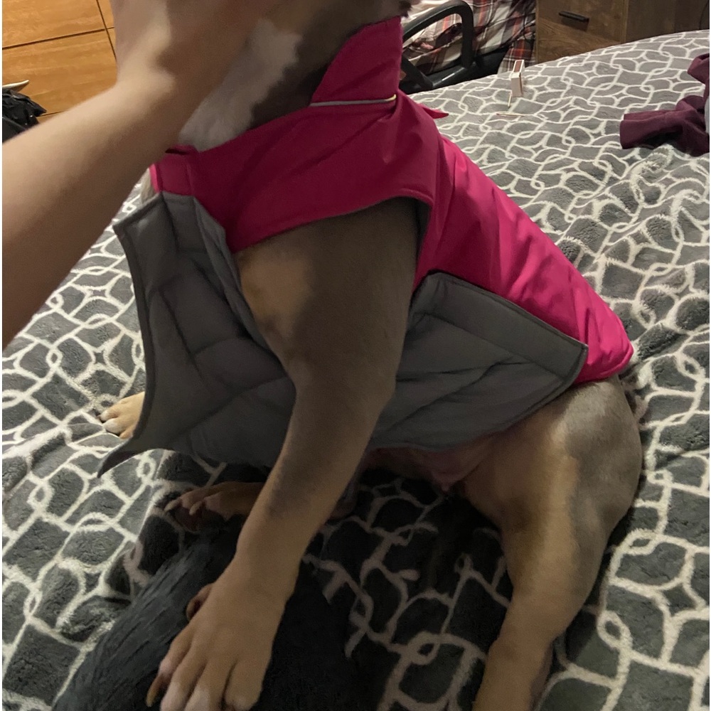 Reversible Dog Coat